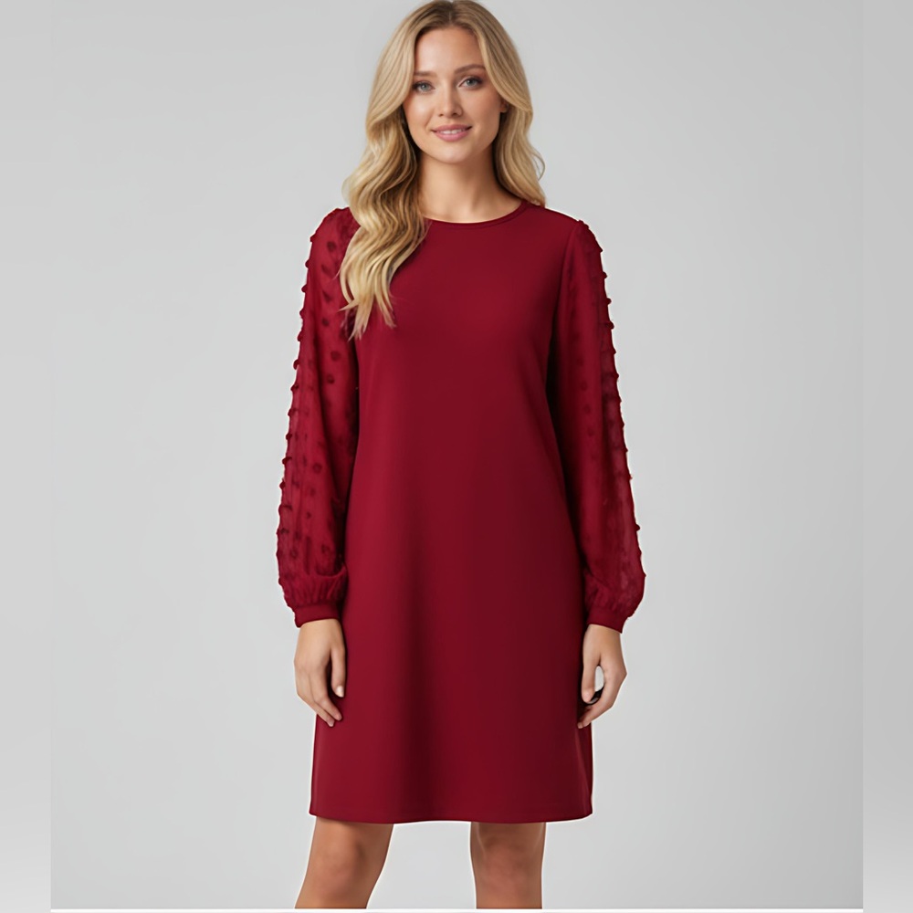 Red Swiss Dot Sheer Sleeve Dress